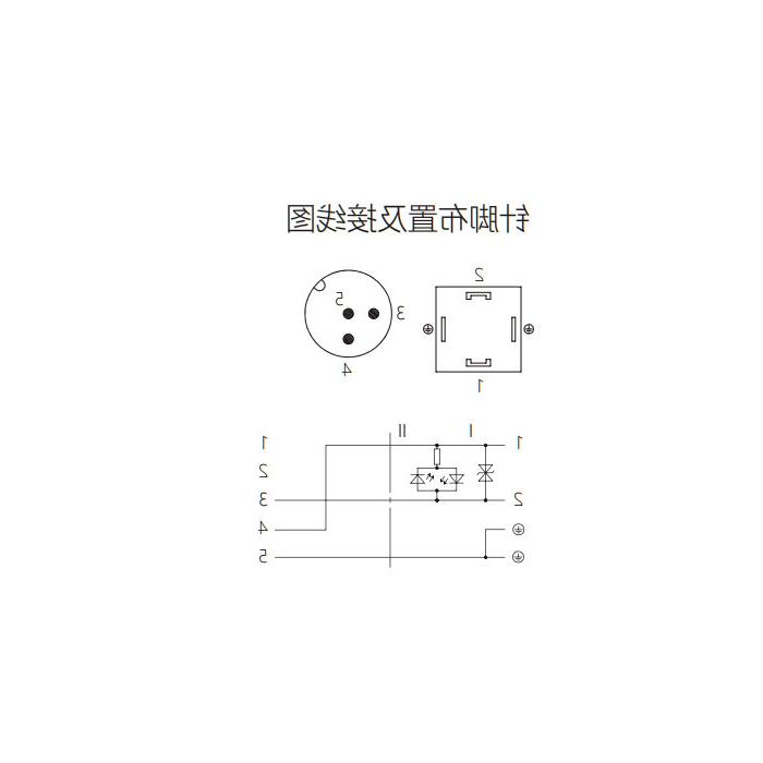 阀门插头类型A，DIN，18mm，4Pin/M12直型公头、双端预铸PUR柔性电缆、黑色护套、6VA041-XXX